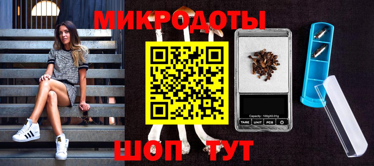Наро-Фоминск  Псилоцибиновые грибы мухоморы  Псилоцибиновые грибы мухоморы  Вход с VPN 